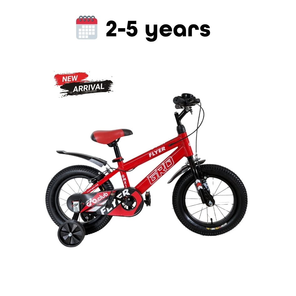 Flyer X 14T